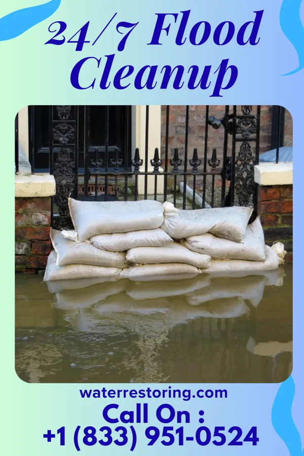 24/7 Flood Cleanup in Tampico, WA