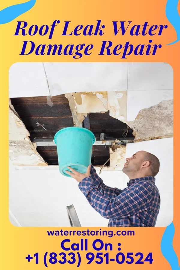 Roof Leak Water Damage Repair in Tampico, WA